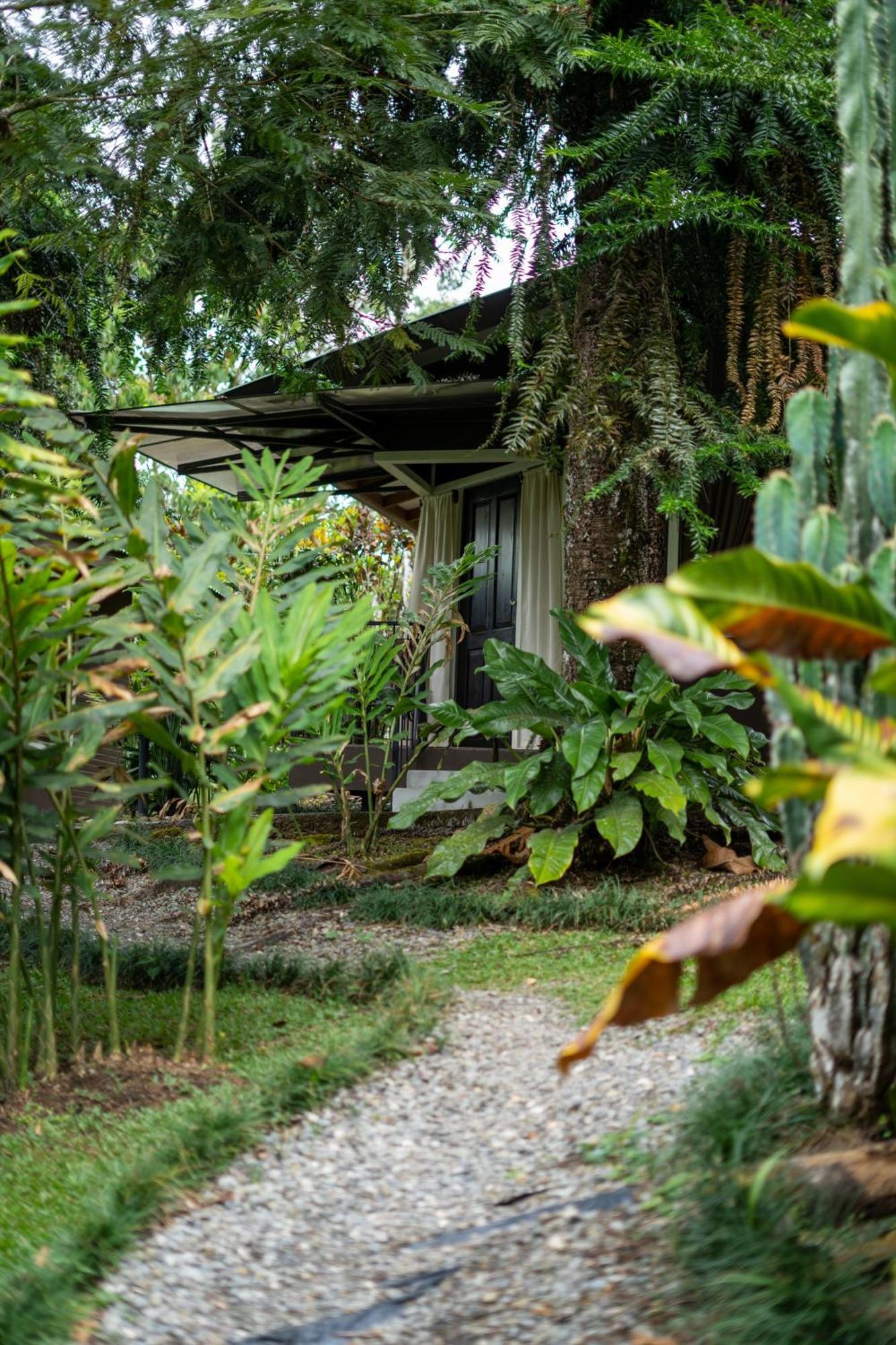 Cabanas Green House Σαν Βίτο Εξωτερικό φωτογραφία