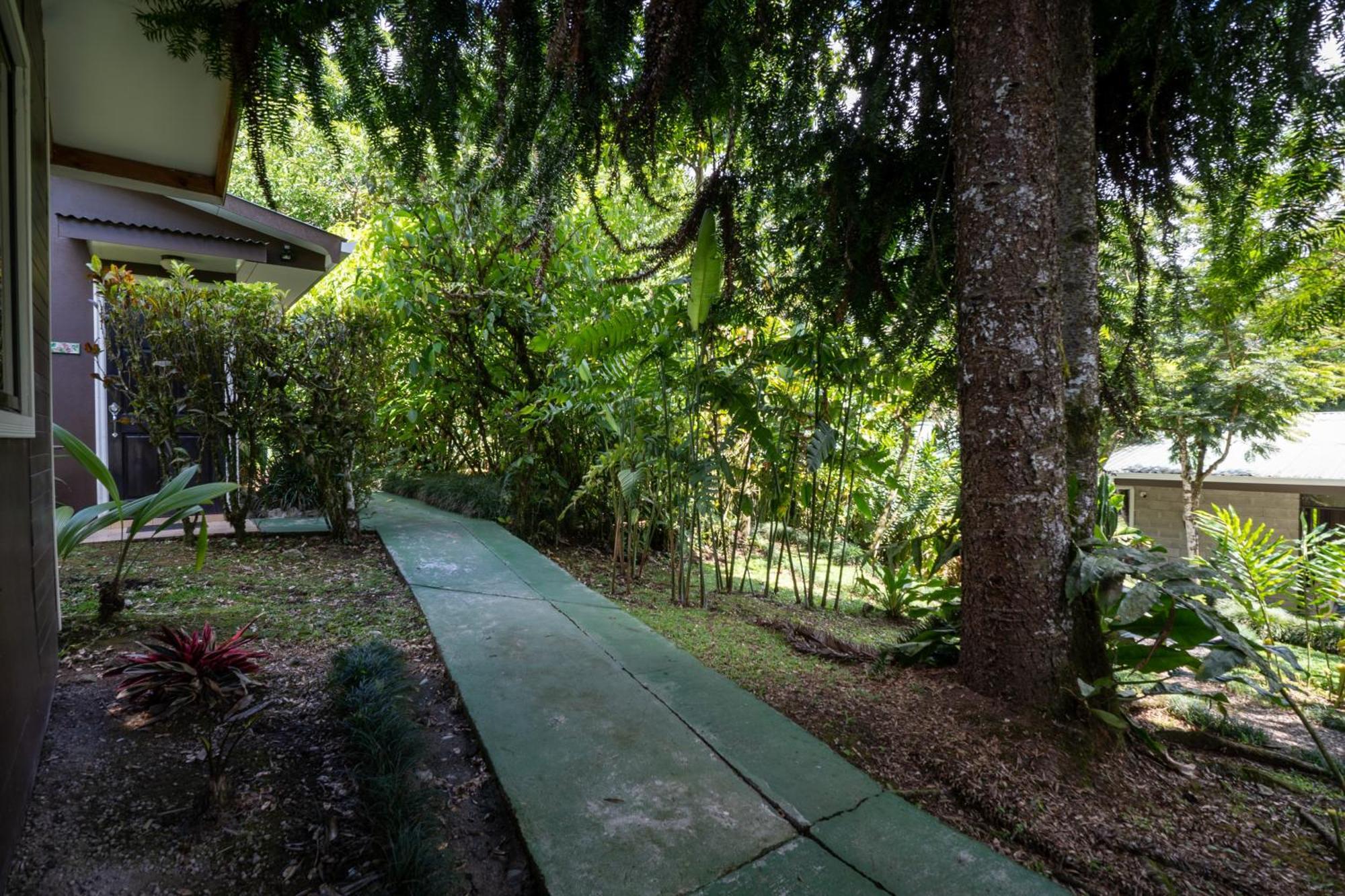 Cabanas Green House Σαν Βίτο Εξωτερικό φωτογραφία